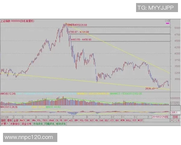 本泽马在新赛季的表现分析与未来发展趋势探讨