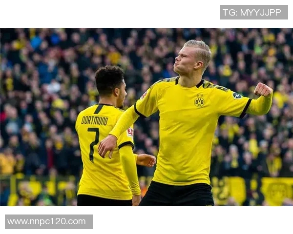 多特蒙德与弗赖堡精彩对决回放视频分析与战术解读