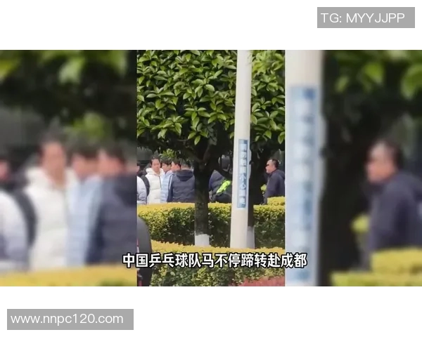 成都乒乓球队技术争议引发热议球迷与专家各执己见探讨技战术发展MBA 成都乒乓球队技术争议引发热议球迷与专家各执己见探讨技战术发展MBA