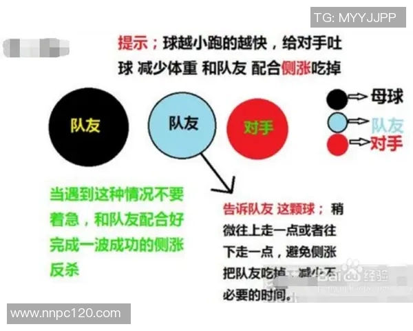 独家解读IG配合策略与效果的深度对比分析MBA
