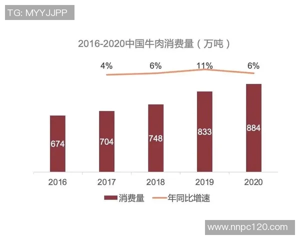 武汉极限运动队节奏表现的数据分析与趋势探讨